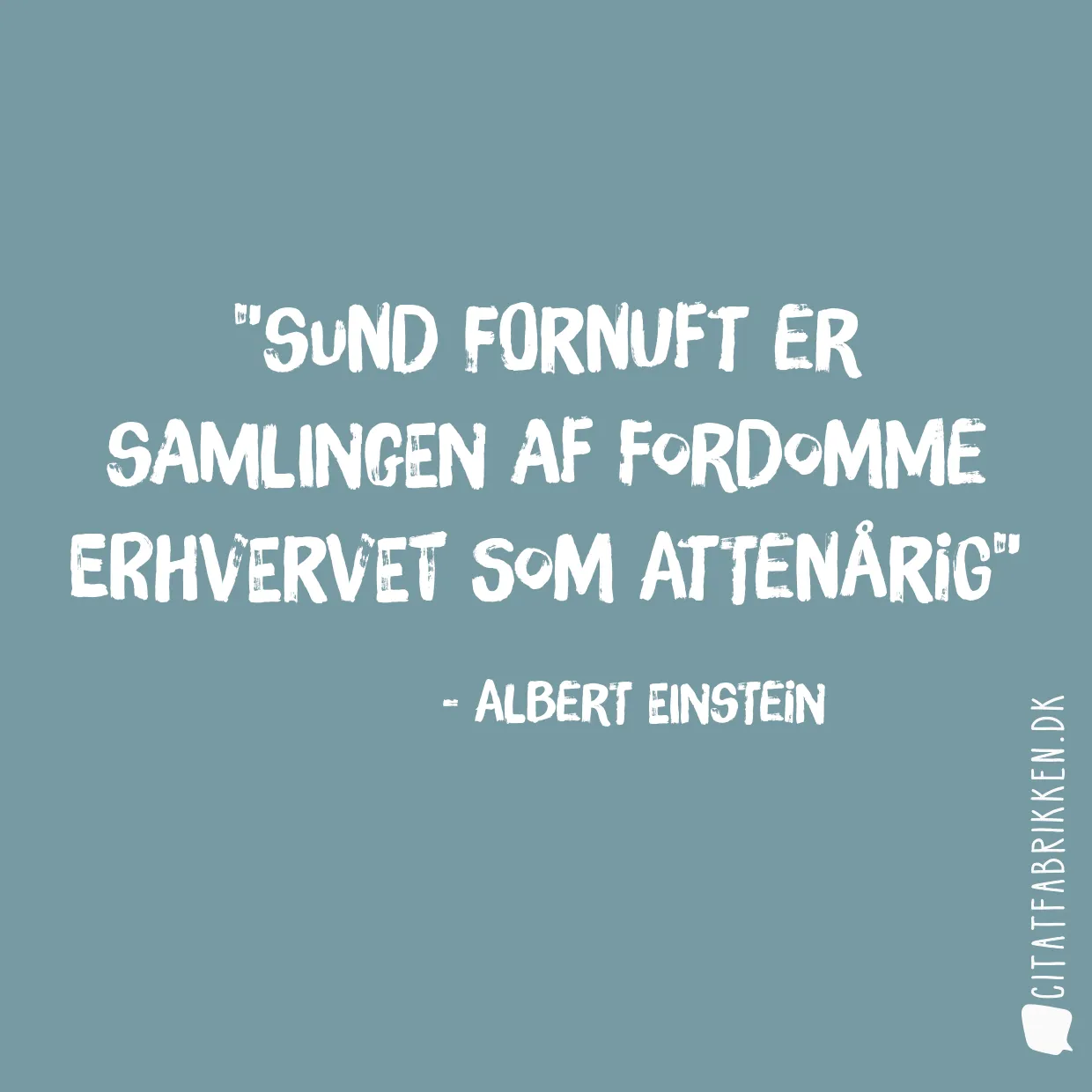 Sund fornuft er samlingen af fordomme erhvervet som attenårig