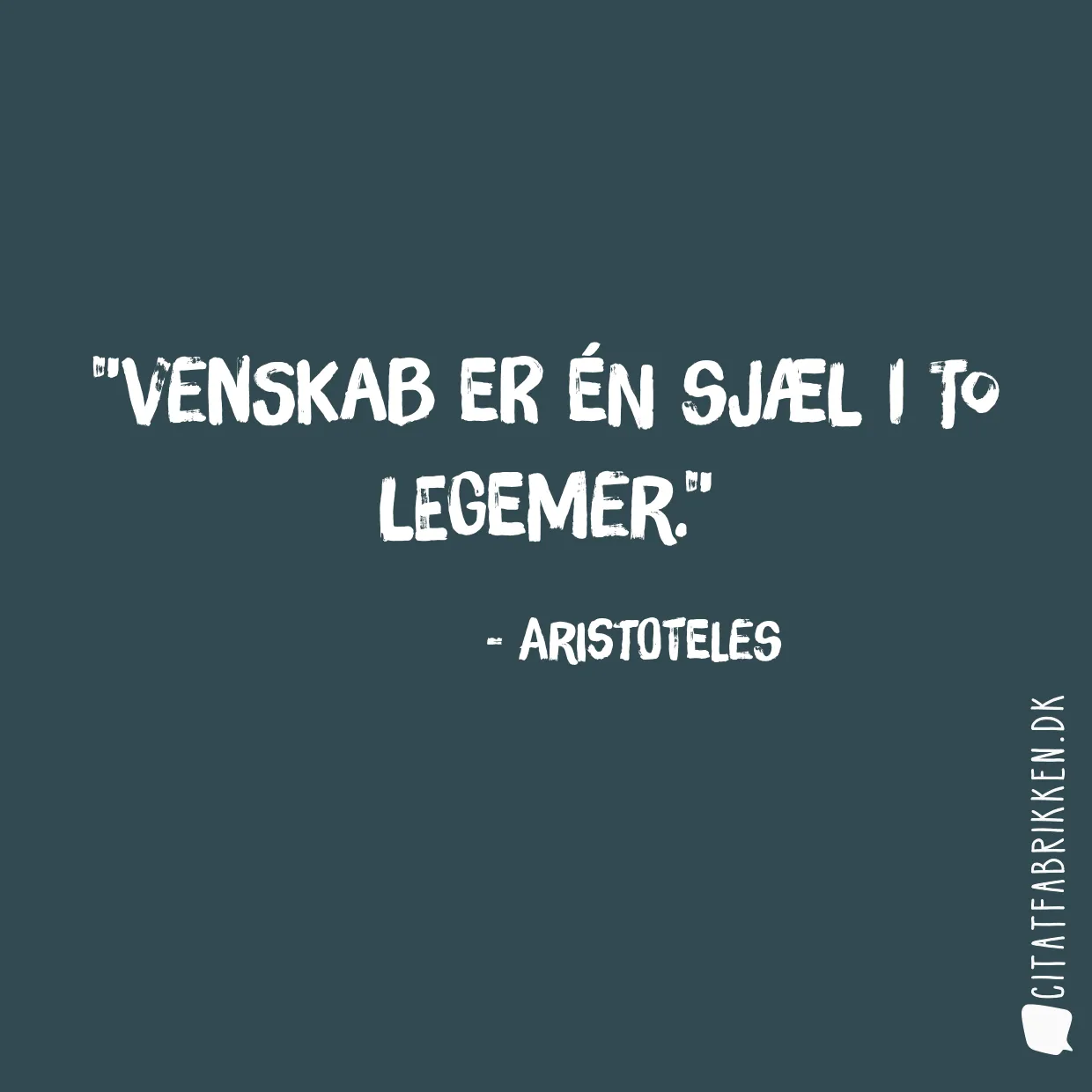 Venskab er én sjæl i to legemer.