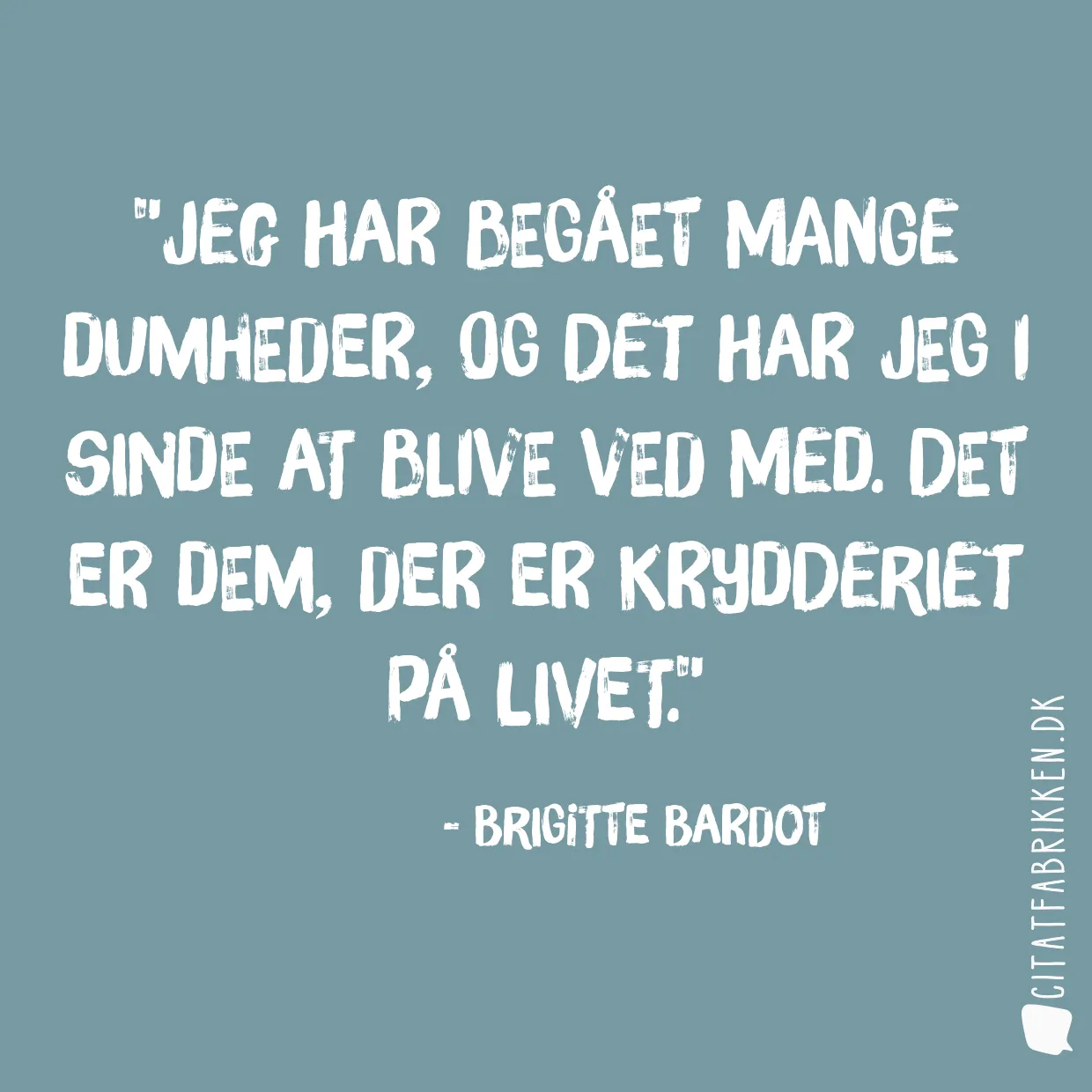 Jeg har begået mange dumheder, og det har jeg i sinde at blive ved med. Det er dem, der er krydderiet på livet.