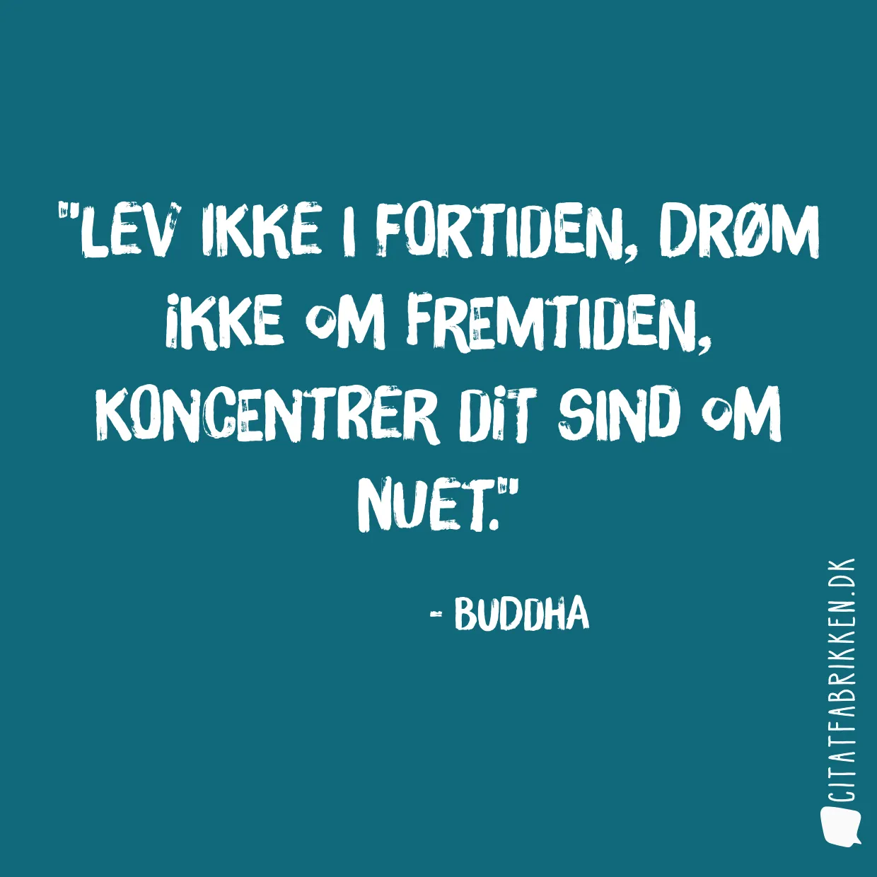 Lev ikke i fortiden, drøm ikke om fremtiden, koncentrer dit sind om nuet.