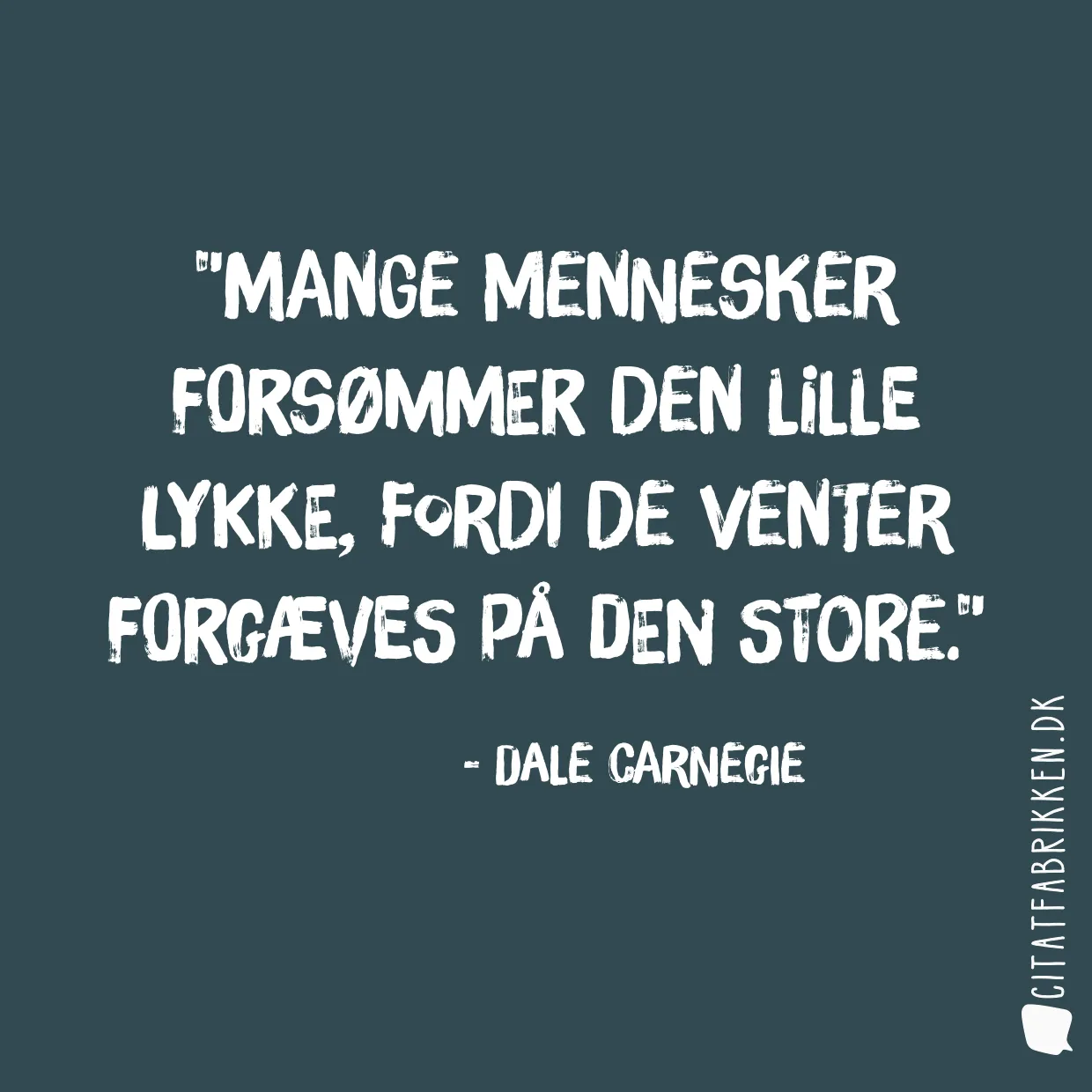 Mange mennesker forsømmer den lille lykke, fordi de venter forgæves på den store.