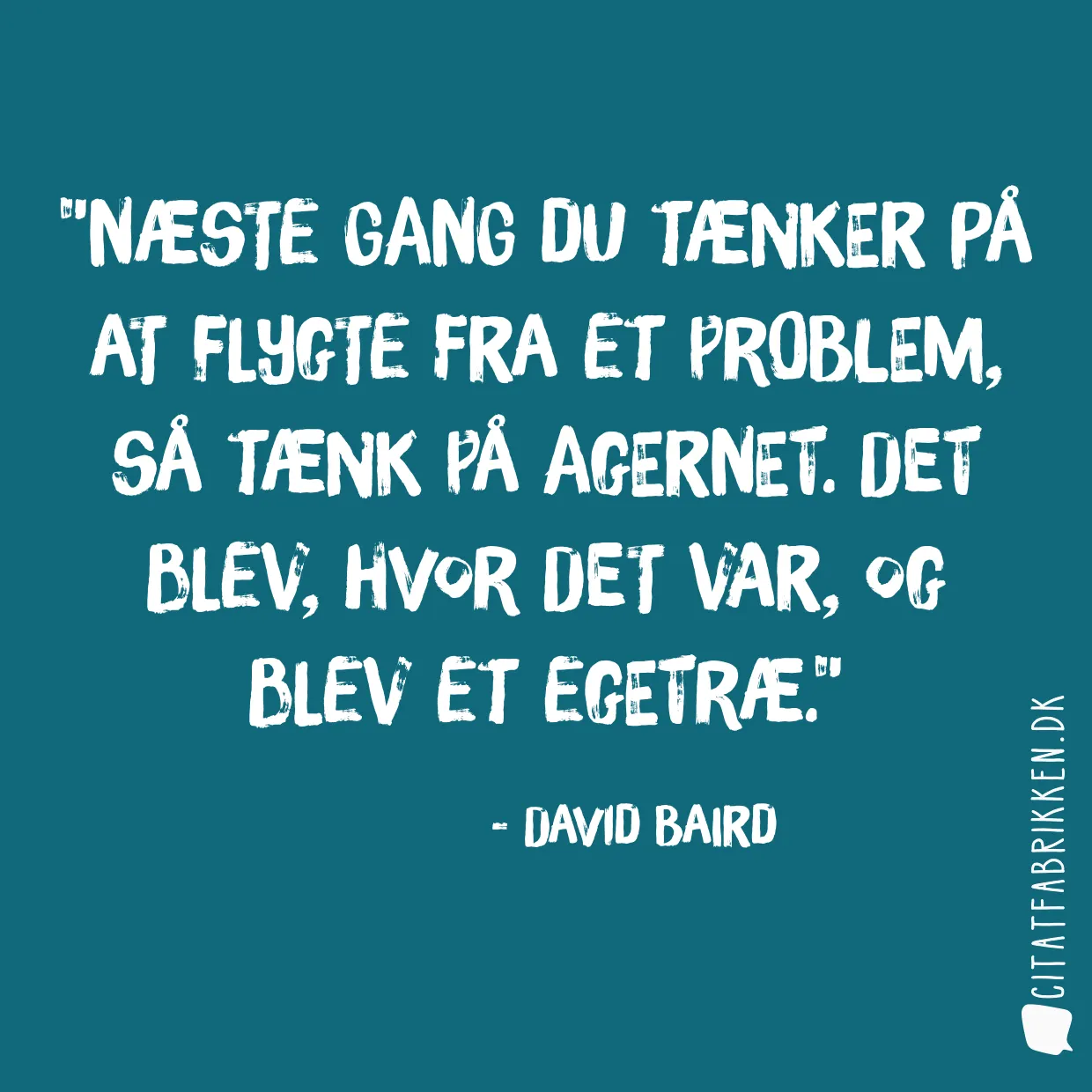 Næste gang du tænker på at flygte fra et problem, så tænk på agernet. Det blev, hvor det var, og blev et egetræ.