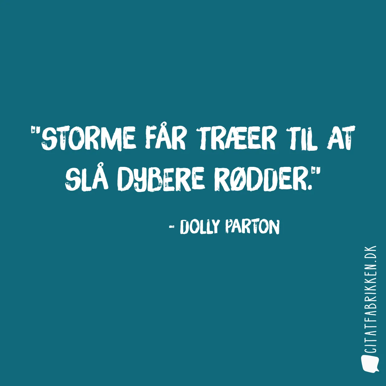 Storme får træer til at slå dybere rødder.