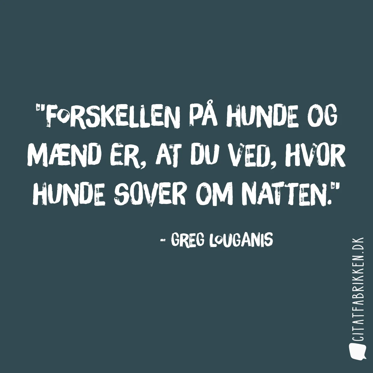 Forskellen på hunde og mænd er, at du ved, hvor hunde sover om natten.