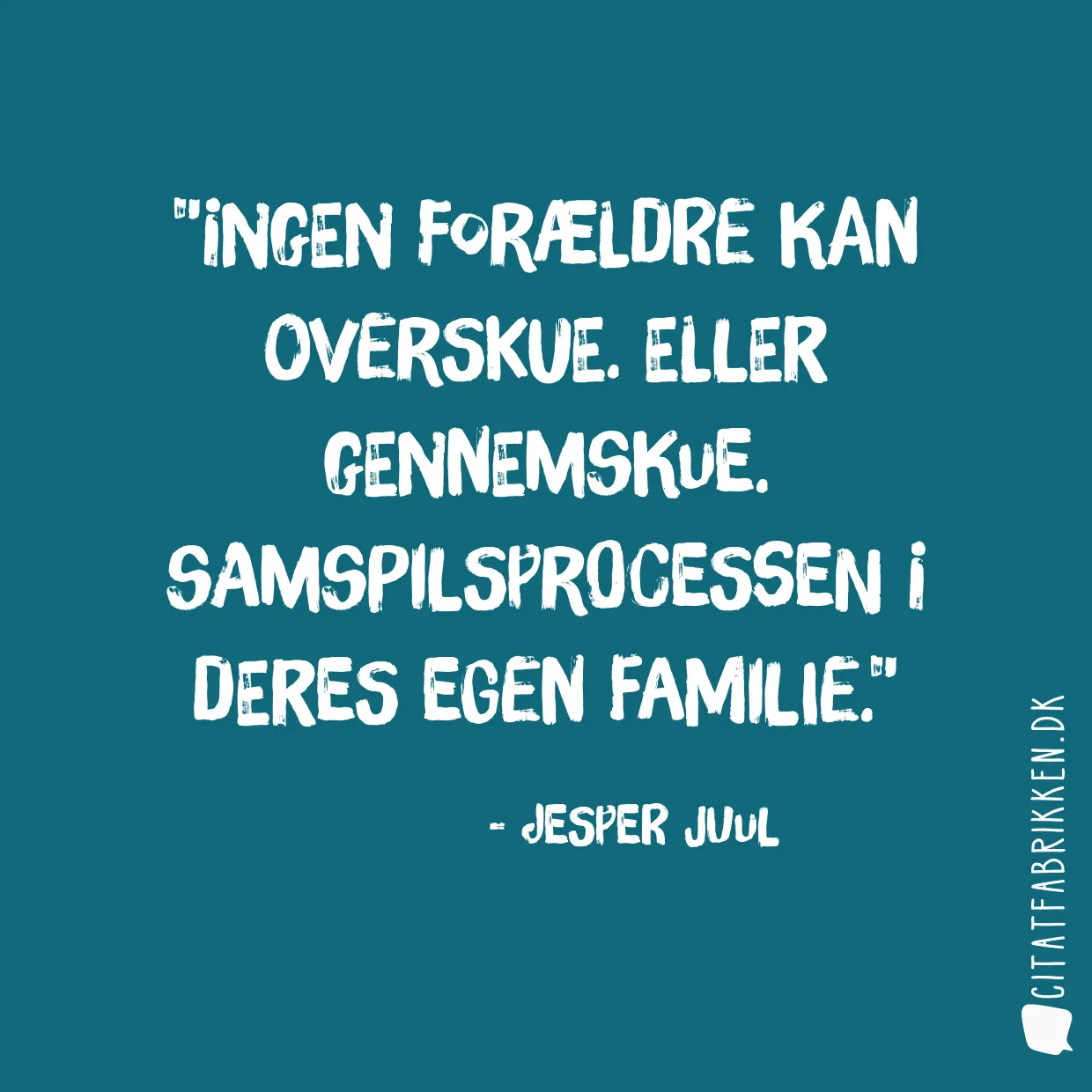 Ingen forældre kan overskue. eller gennemskue. samspilsprocessen i deres egen familie.