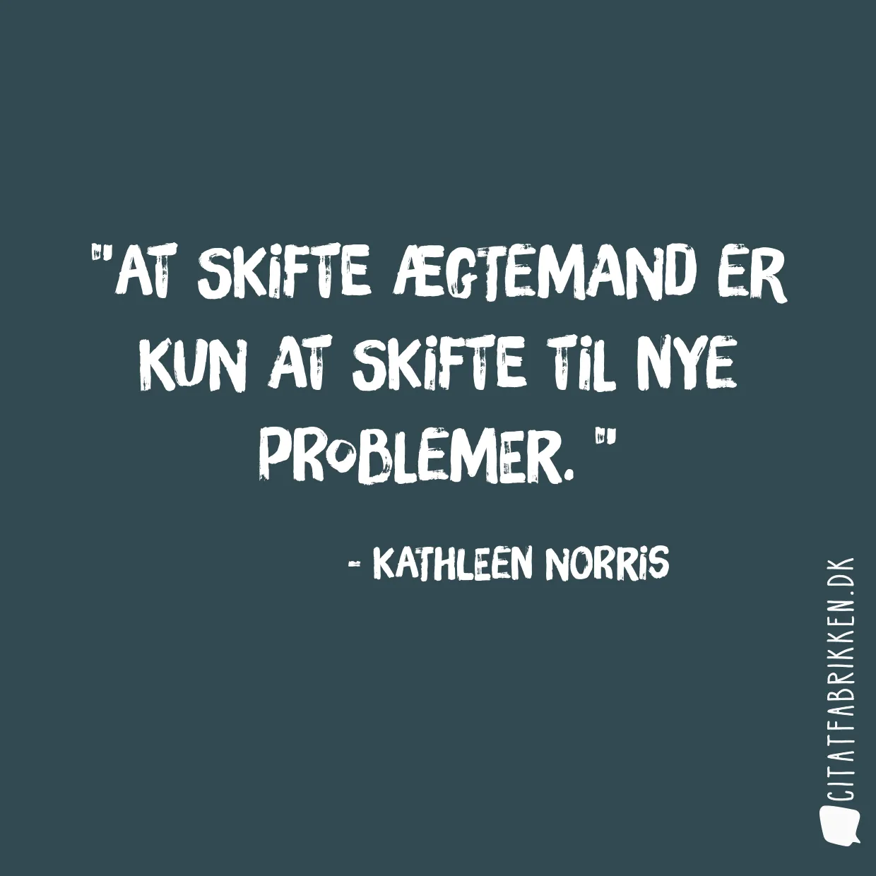 At skifte ægtemand er kun at skifte til nye problemer. 