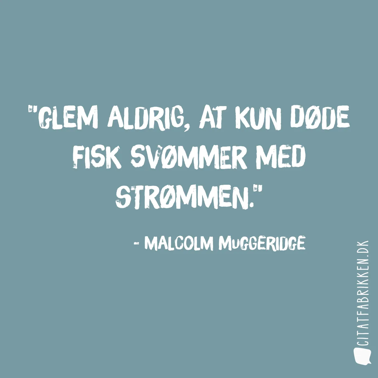 Glem aldrig, at kun døde fisk svømmer med strømmen.