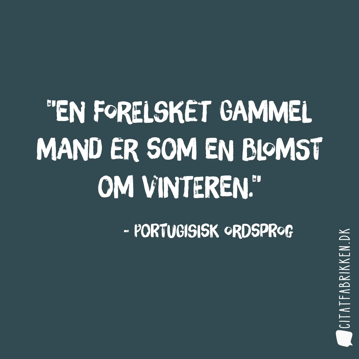 En forelsket gammel mand er som en blomst om vinteren.