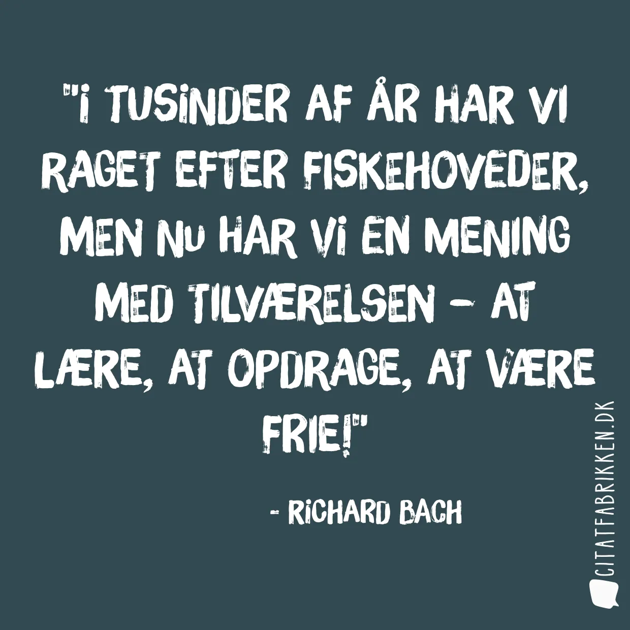 I tusinder af år har vi raget efter fiskehoveder, men nu har vi en mening med tilværelsen – at lære, at opdrage, at være frie!
