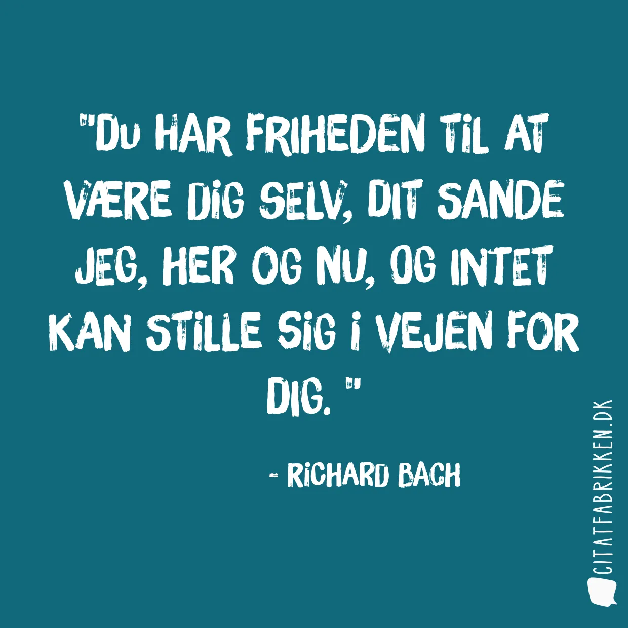 Du har friheden til at være dig selv, dit sande jeg, her og nu, og intet kan stille sig i vejen for dig. 