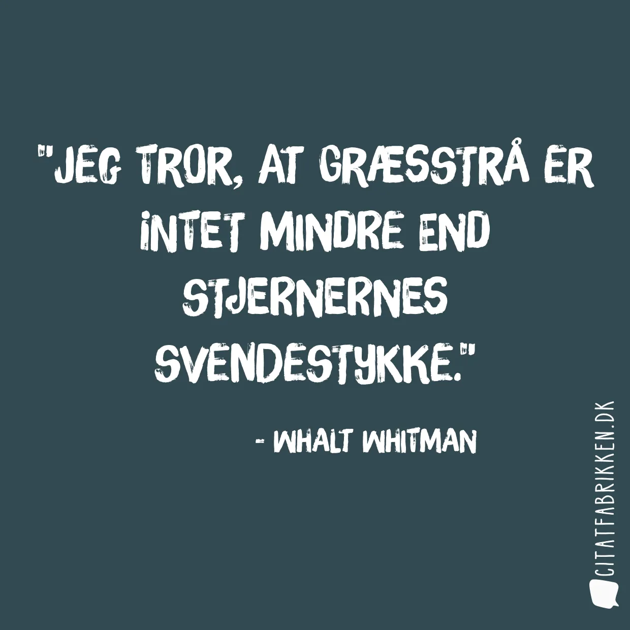 Jeg tror, at græsstrå er intet mindre end stjernernes svendestykke.